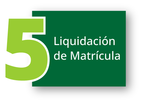 Paso 5 para inscripciones de pregrado: Liquidación de matrícula