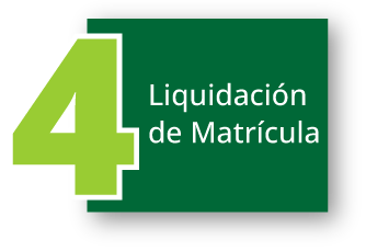 Paso 4: Liquidación de matrícula
